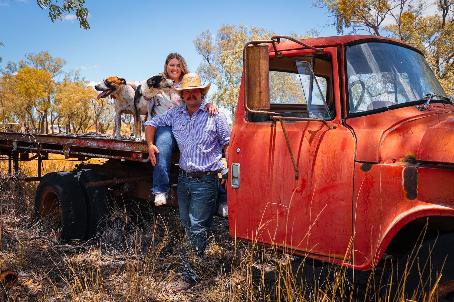 A red vintage pickup truck parked in a field during autumn with golden trees in the background.