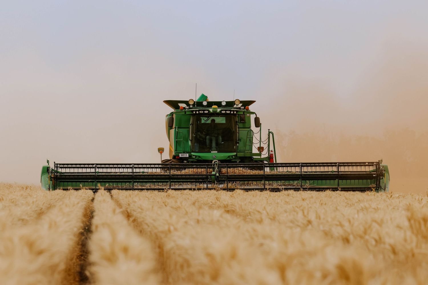 Combine harvester kicking up dust while harvesting grain in a golden field during sunset.