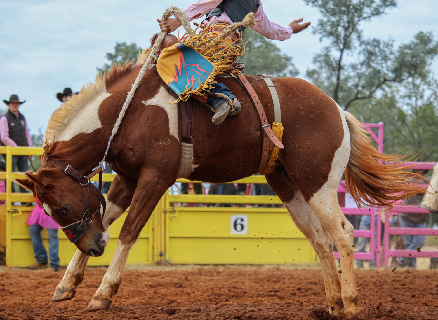 A bronc rider competes in a rodeo event on a bucking horse in a dusty arena with yellow fencing panels.