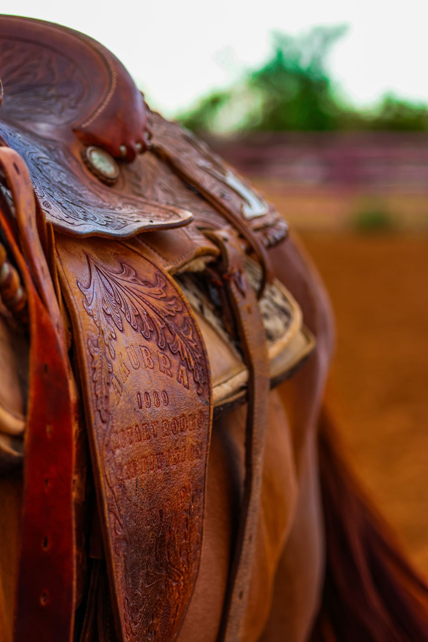 Close-up view of ornate leather tooling details on a brown western saddle showing decorative floral patterns.