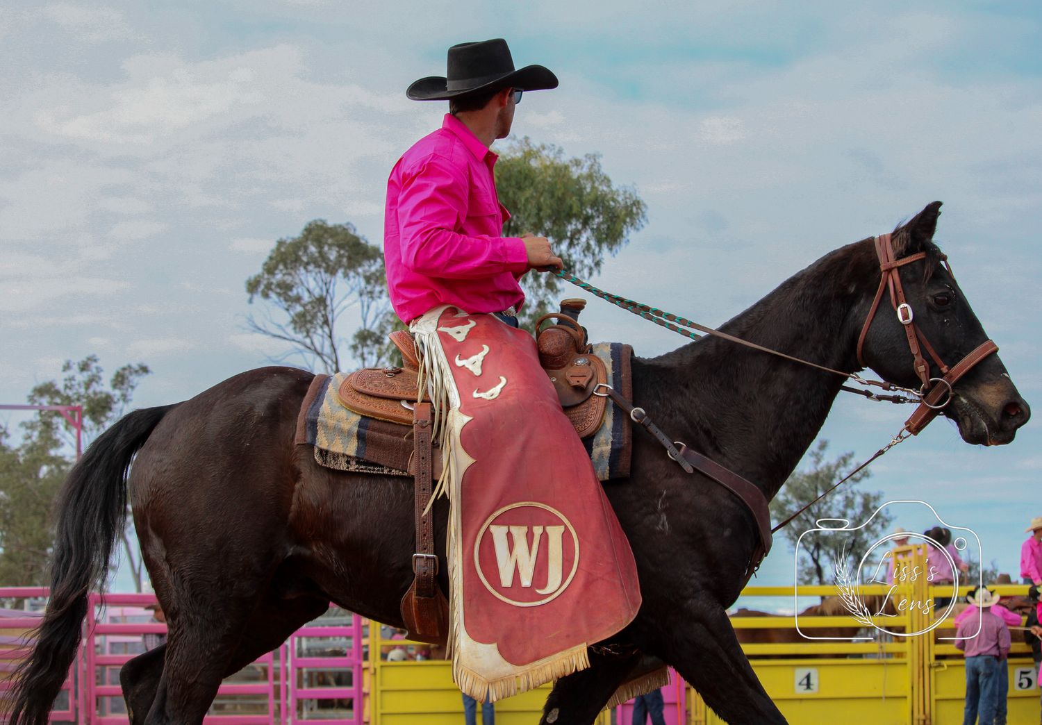 Horse and rider in pink shirt compete in western barrel racing event with colorful arena barriers.