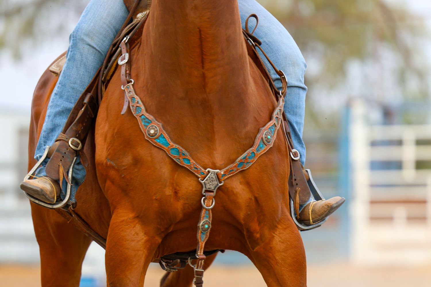Close-up view of a brown leather western saddle with silver hardware and decorative stitching on a horse's back.