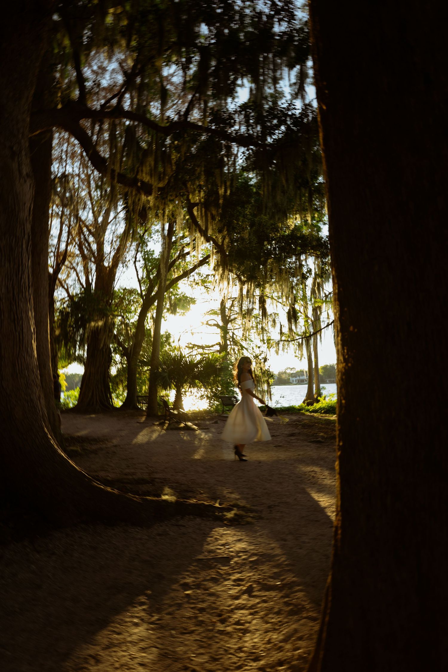 Bride in white gown standing among moss-draped trees in golden sunlight near a serene waterfront.