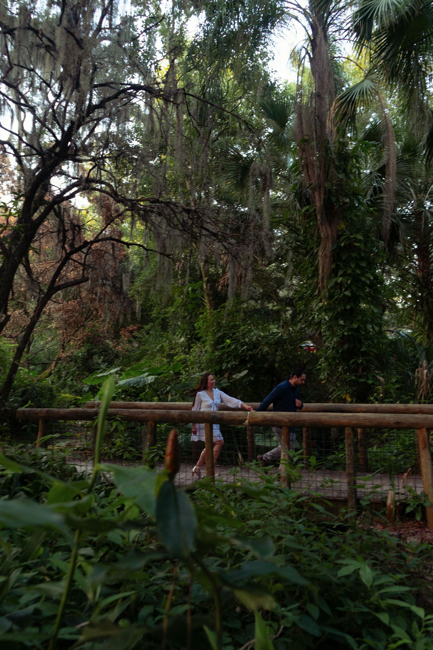 Couple standing on a rustic wooden bridge surrounded by lush tropical forest greenery.