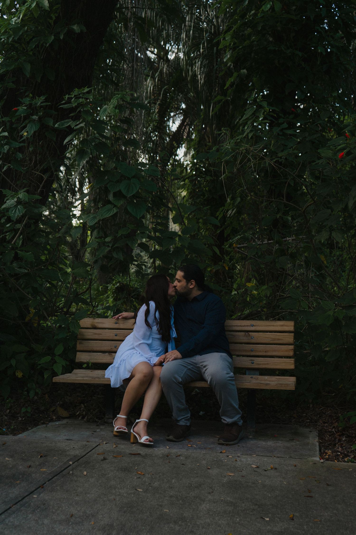 Couple sharing a tender kiss on a wooden bench surrounded by lush green trees in a serene park.
