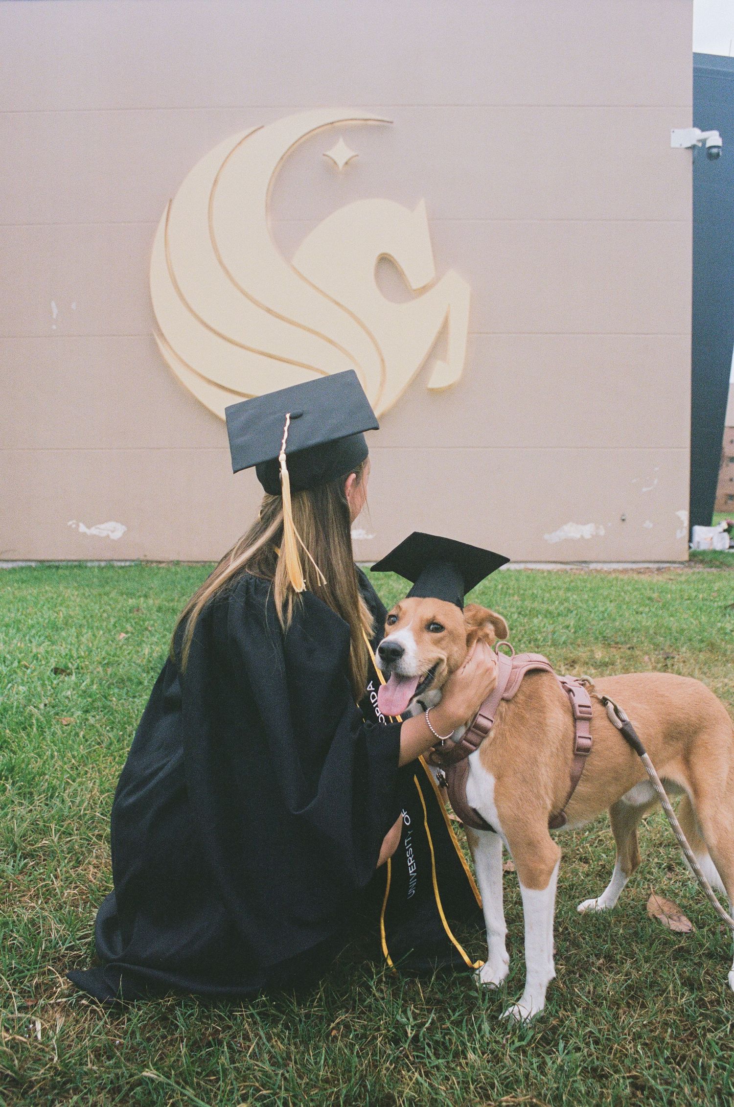 Graduate in black cap and gown poses with her dog wearing a graduation cap in front of a pegasus emblem.