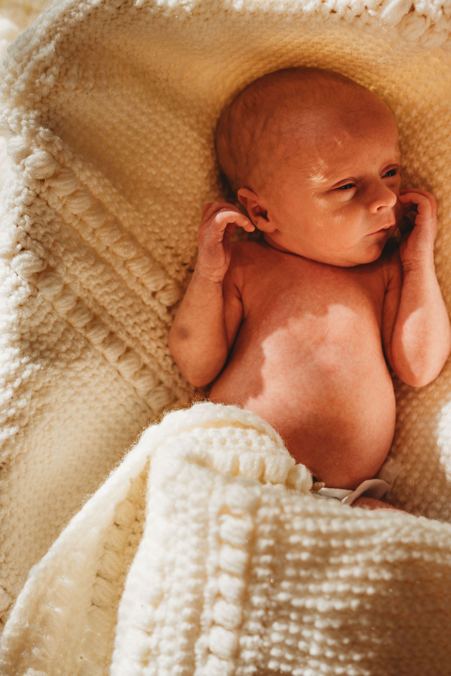 Peaceful newborn baby resting in a cream knitted blanket inside a wicker bassinet in warm sunlight.
