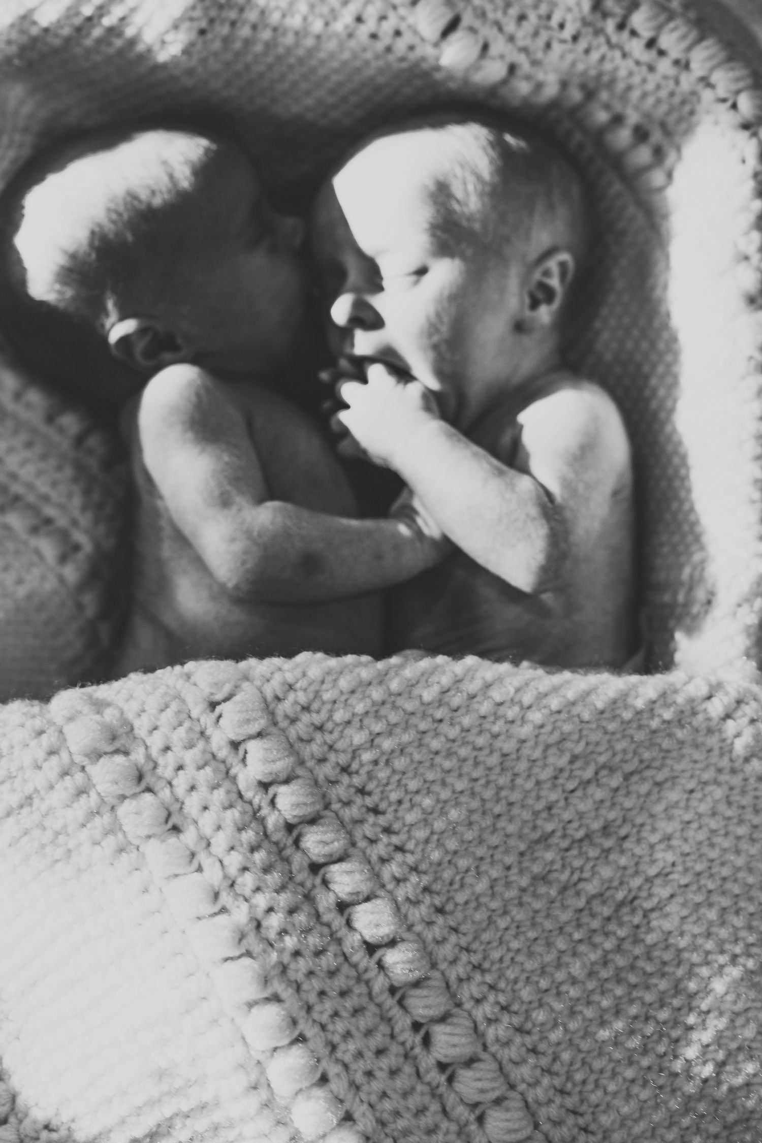 Black and white photo of twin newborns lying face to face in a cozy knit-lined wicker bassinet.