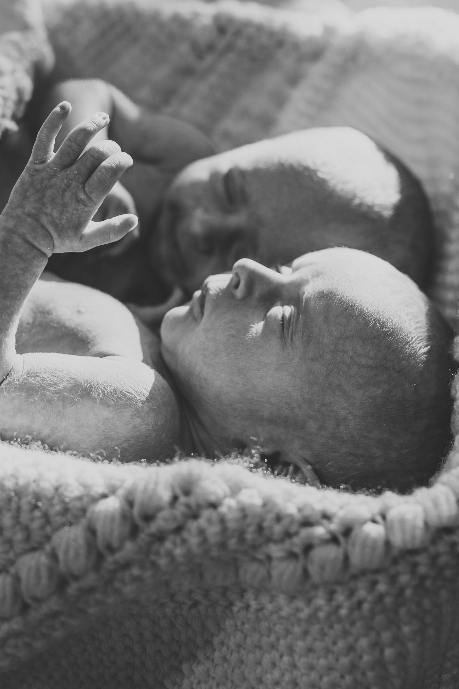 Black and white close-up of a newborn baby lying in a basket with tiny hand raised in the air.