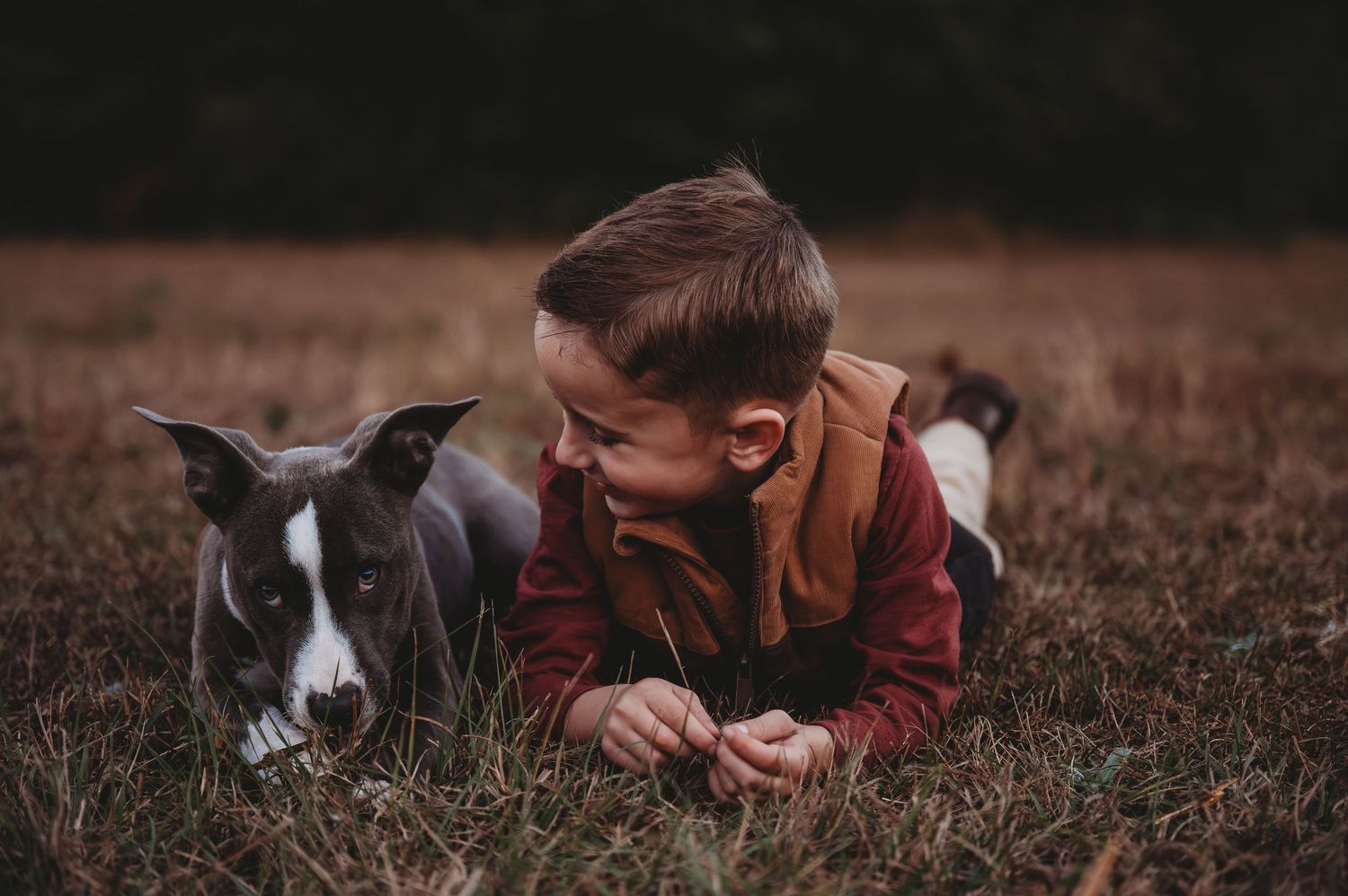 A young boy in a brown jacket lies on grass face-to-face with a gray and white dog outdoors.