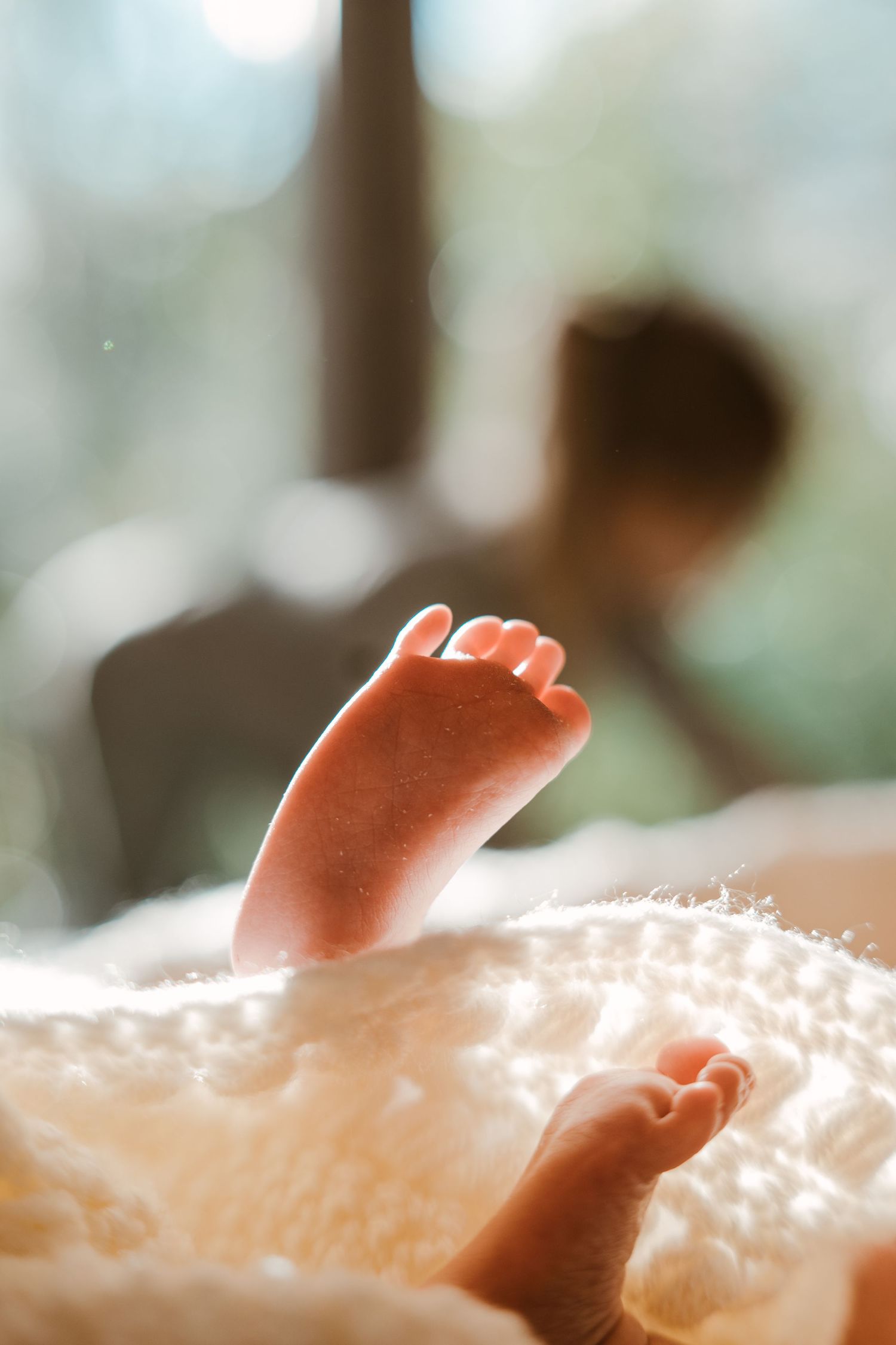 Tiny newborn baby feet resting on a soft white blanket in warm sunlight.