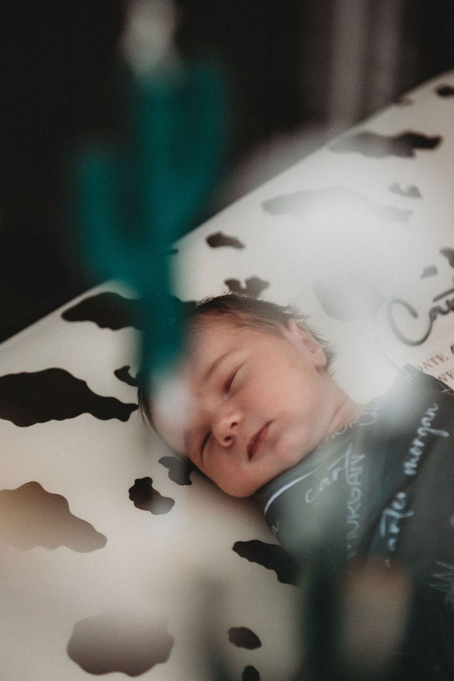 Newborn baby sleeping soundly in cow print crib with teal cactus nursery decor nearby.