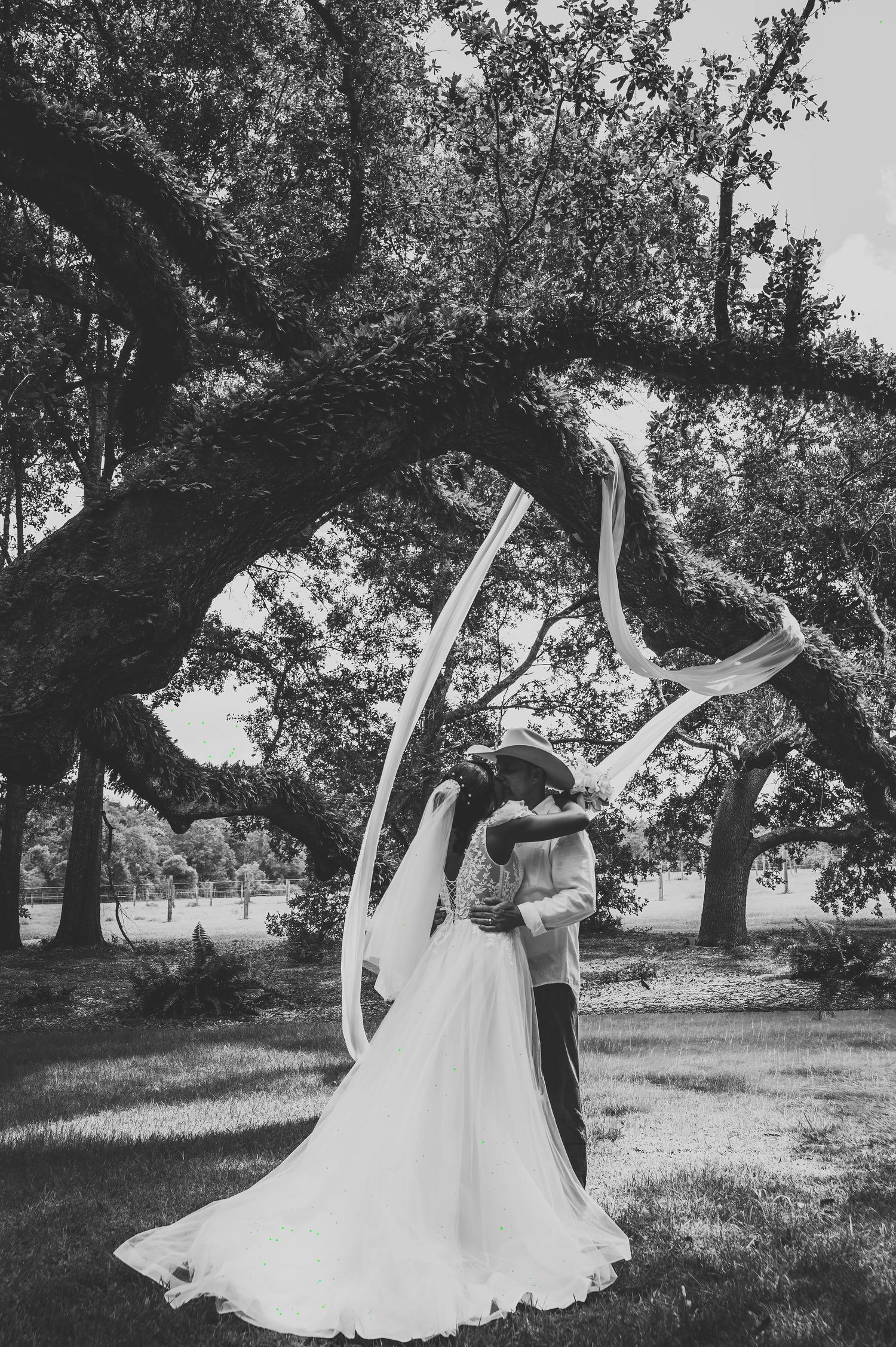 Black and white romantic photo of bride and groom kissing under a sprawling oak tree outdoors.