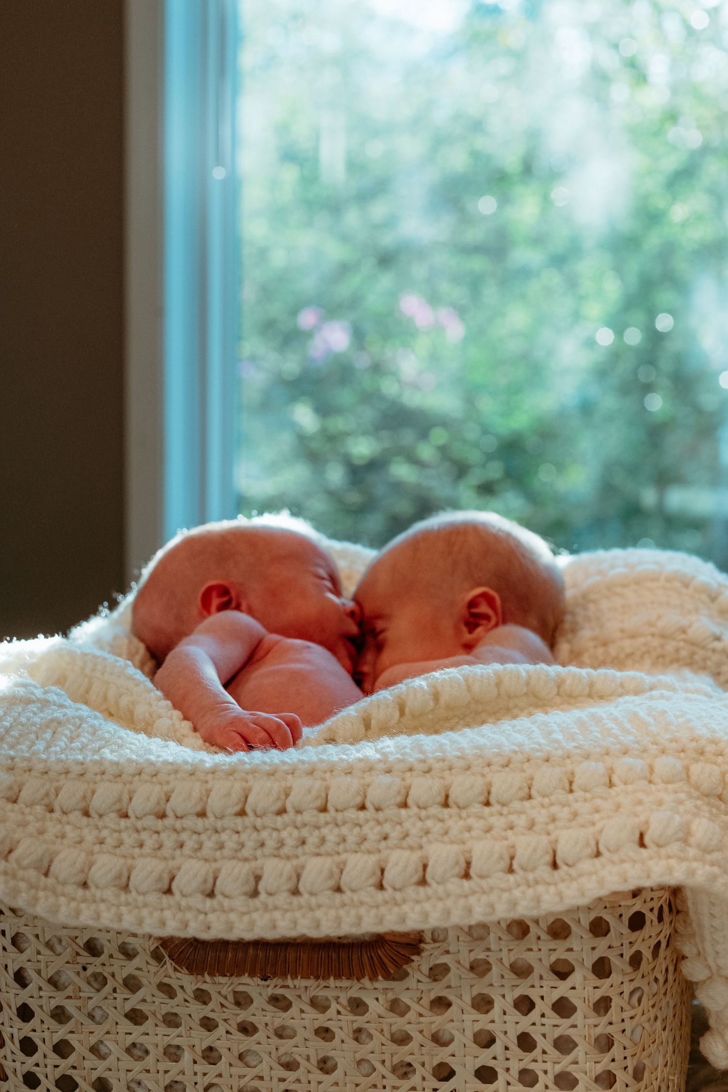 Twin newborn babies sleeping peacefully together wrapped in a white knit blanket in a wicker bassinet.