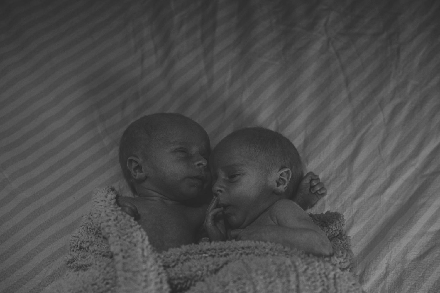 Black and white photo of twin newborn babies snuggled together in a blanket.