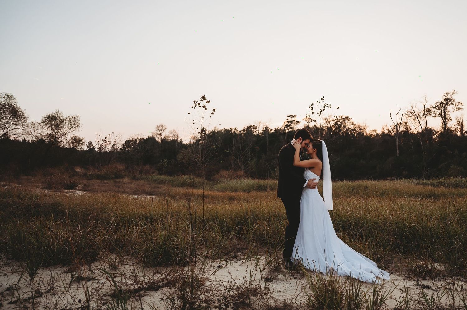 Bride and groom share a romantic kiss in a golden field at sunset, bride wearing a white gown with veil.