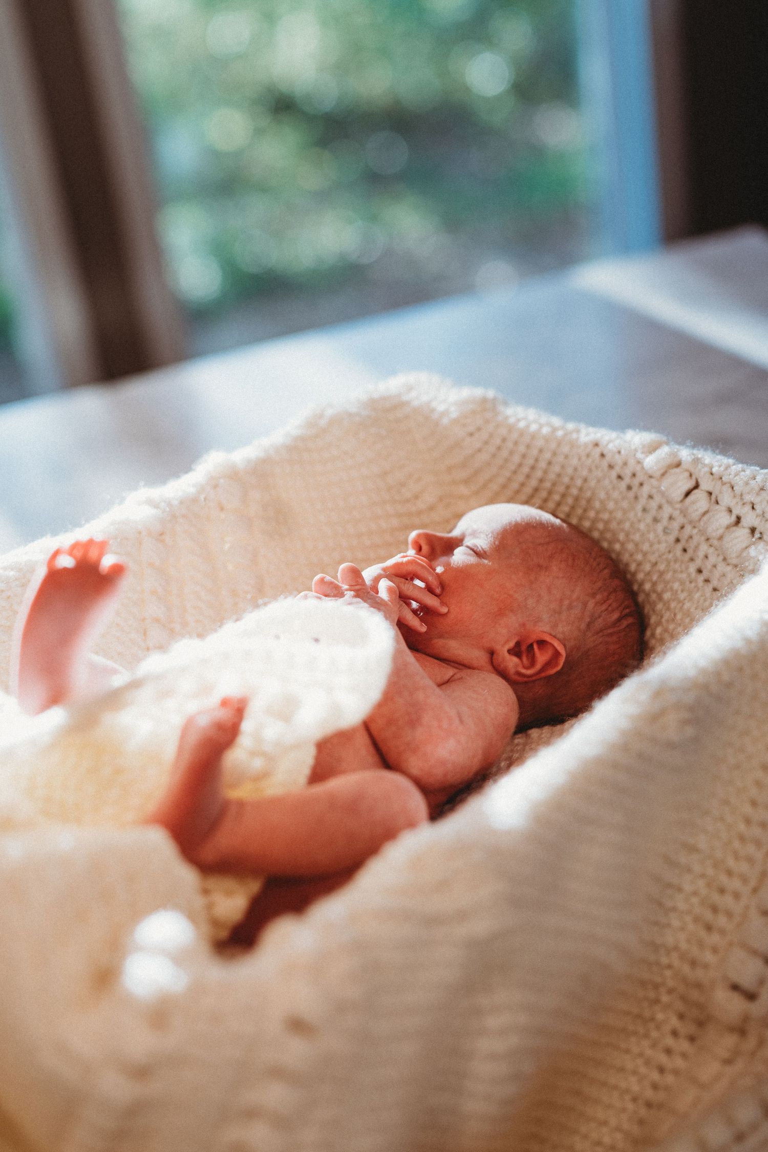 Newborn baby sleeping in a white knit bassinet by a sunlit window.