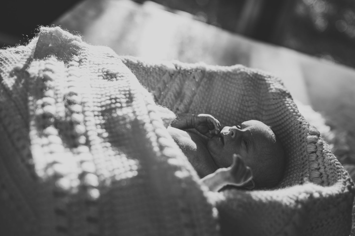 Black and white photo of a sleeping newborn nestled in a textured knit blanket.