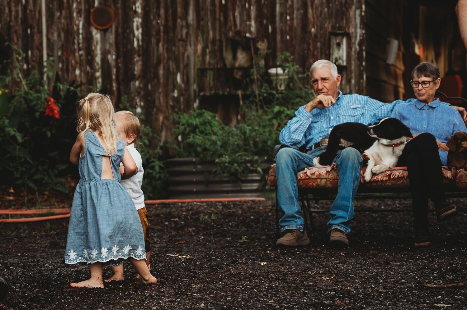 Elderly man sits with dog while two young girls in blue dresses play outside a rustic barn.