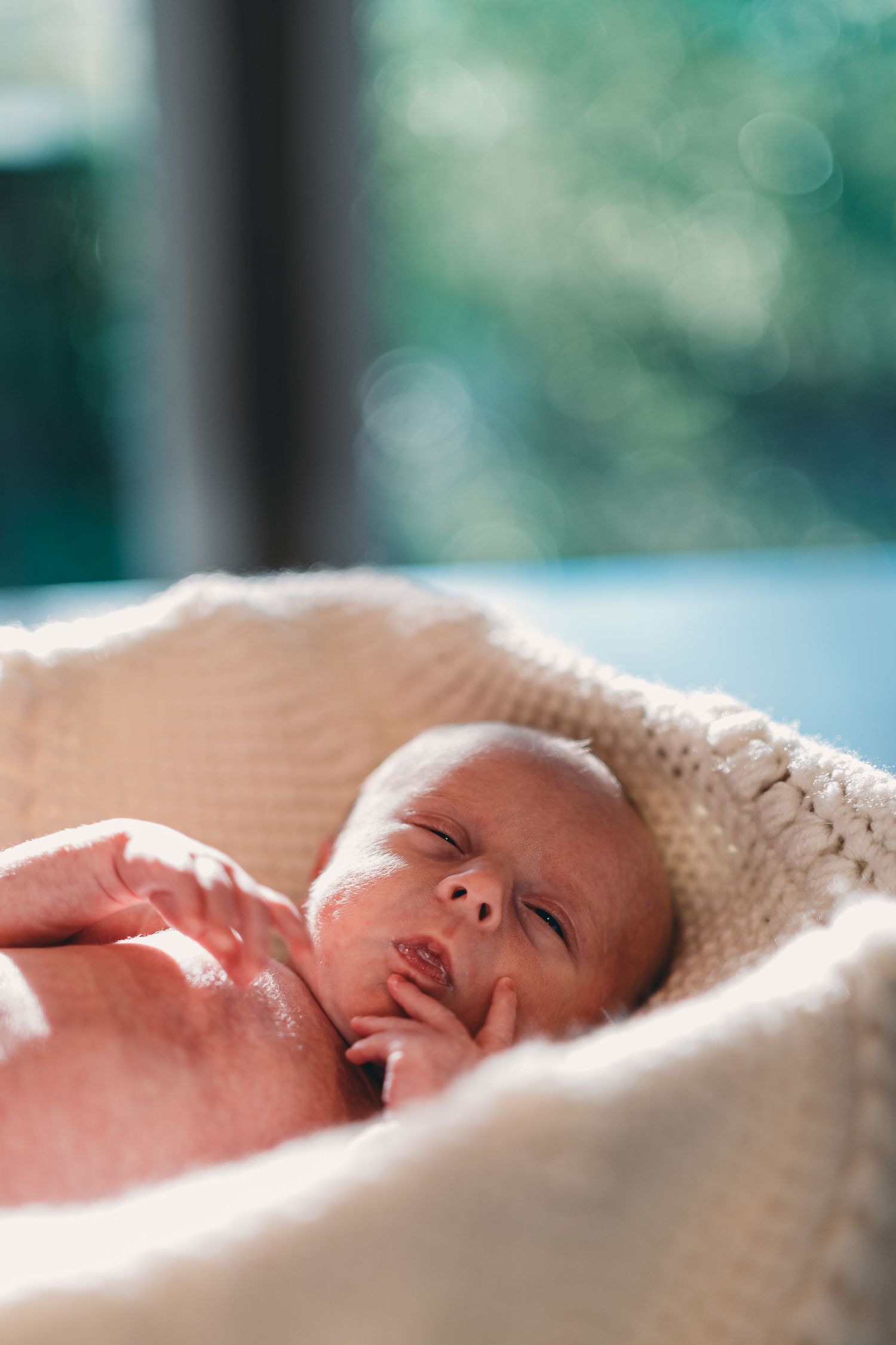 Serene newborn baby lying in a white knit bassinet with soft bokeh background.