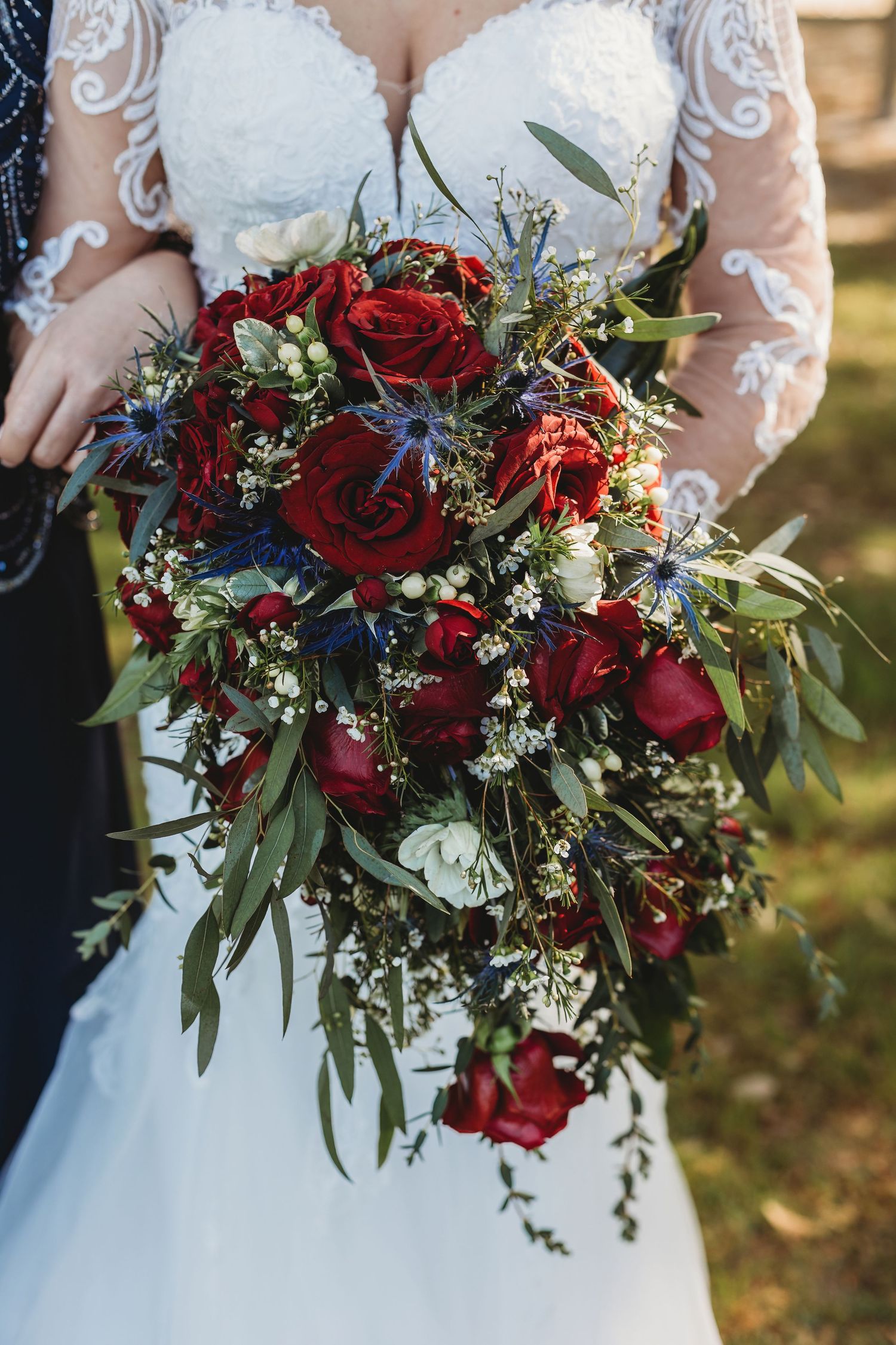 Bride holds a lush cascading bouquet of deep red roses, blue thistle, and greenery.
