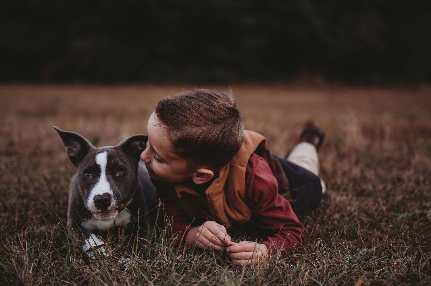 A young boy lying in a field lovingly kissing a gray and white dog on an overcast day.