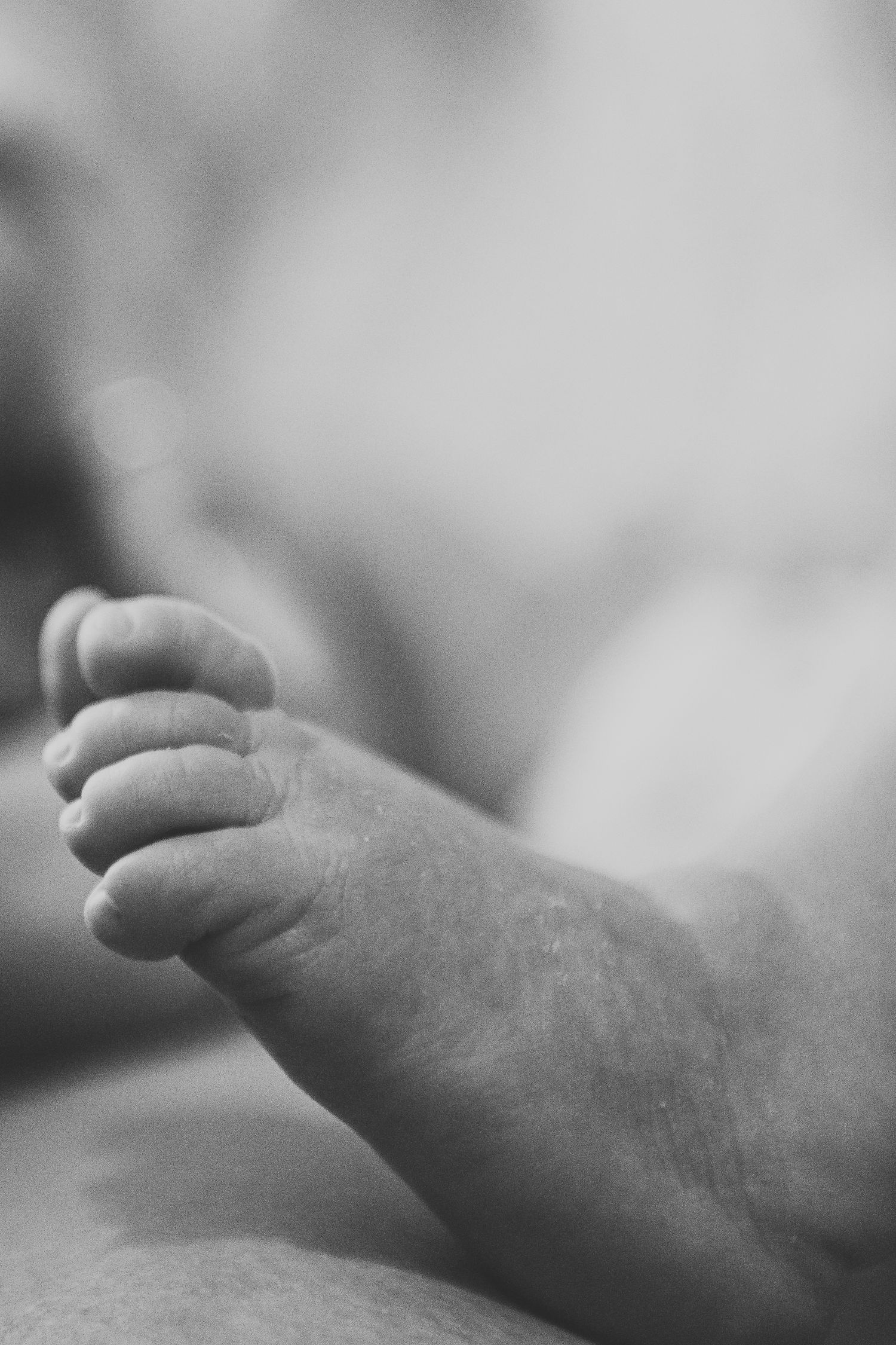 Black and white macro photograph of delicate newborn baby feet with soft blurred background.