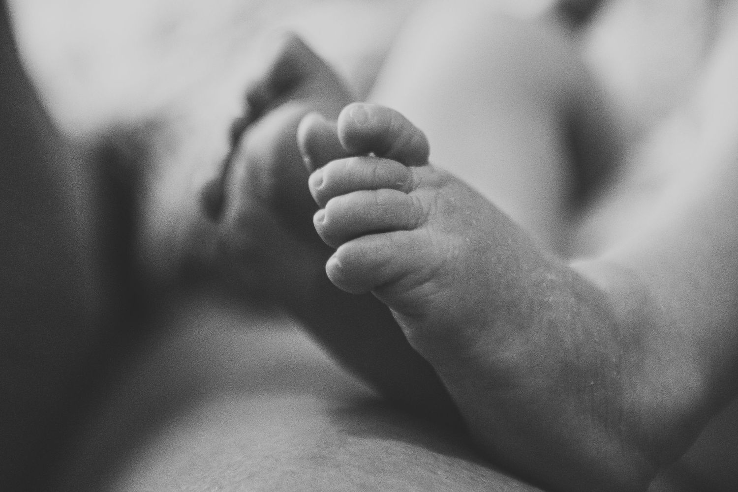 Close-up black and white photo of tiny newborn baby feet and toes.