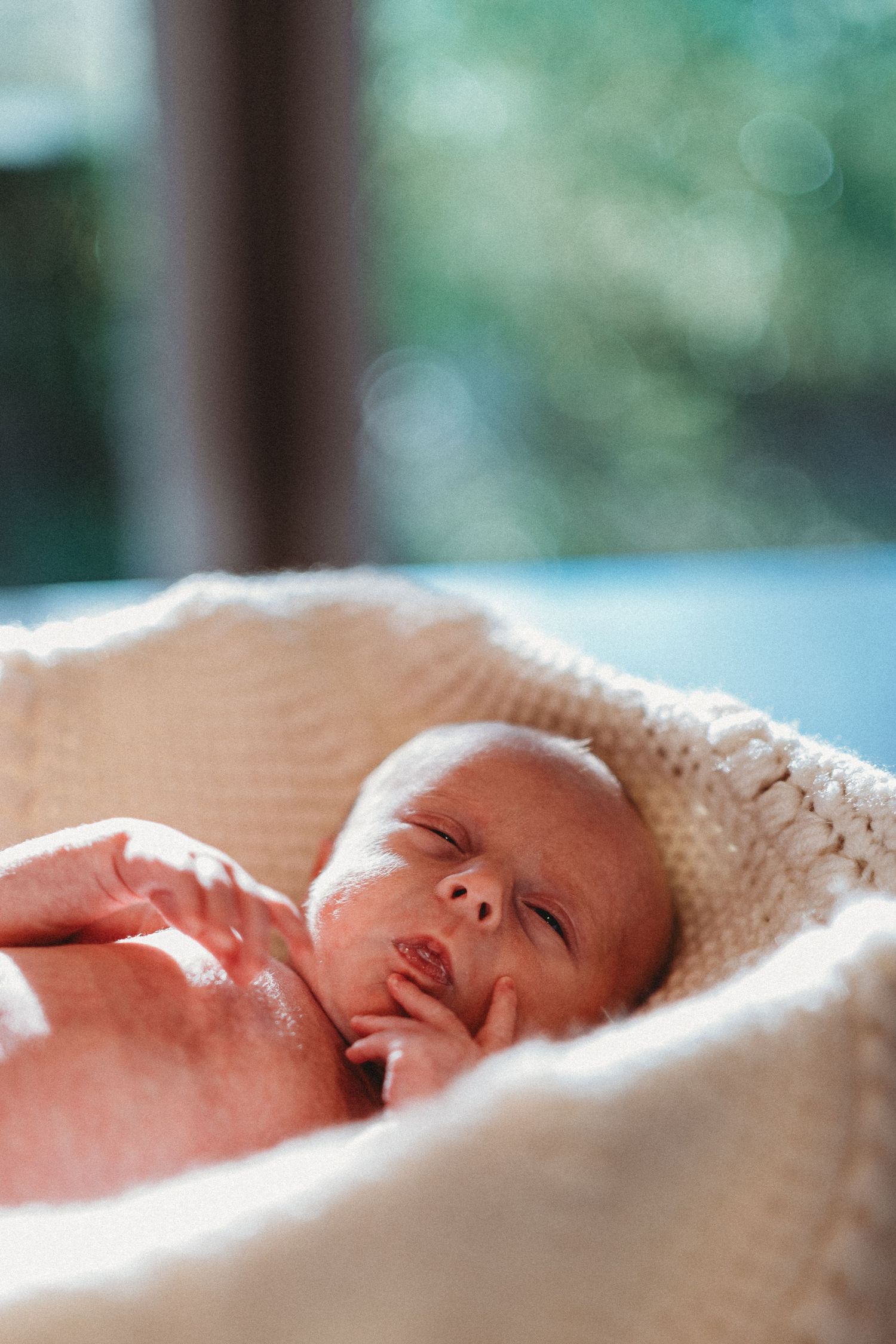 Peaceful newborn baby resting in a cozy white knit Moses basket.