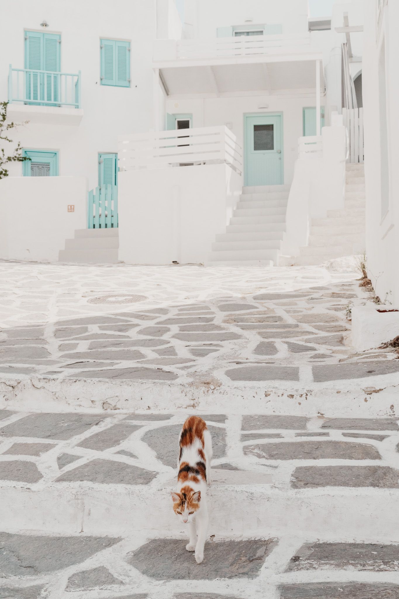 greece