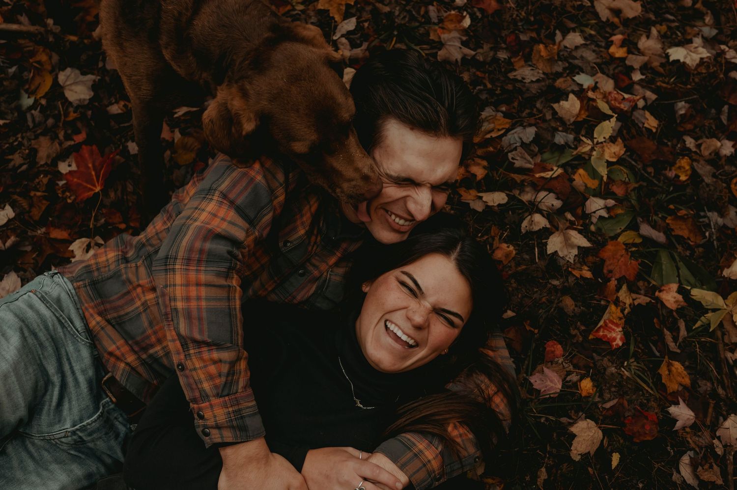 A couple lays on the autumn forest floor while a dog licks their faces