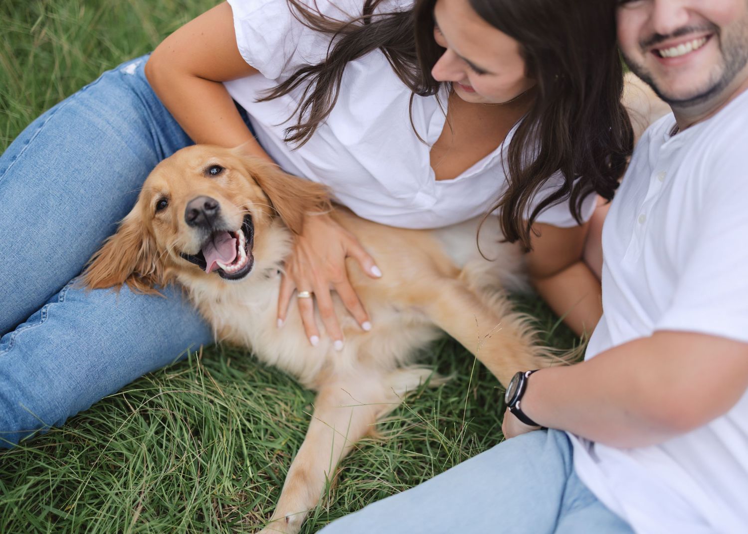 Golden retriever puppy sprawled playfully on grass during outdoor photo session.