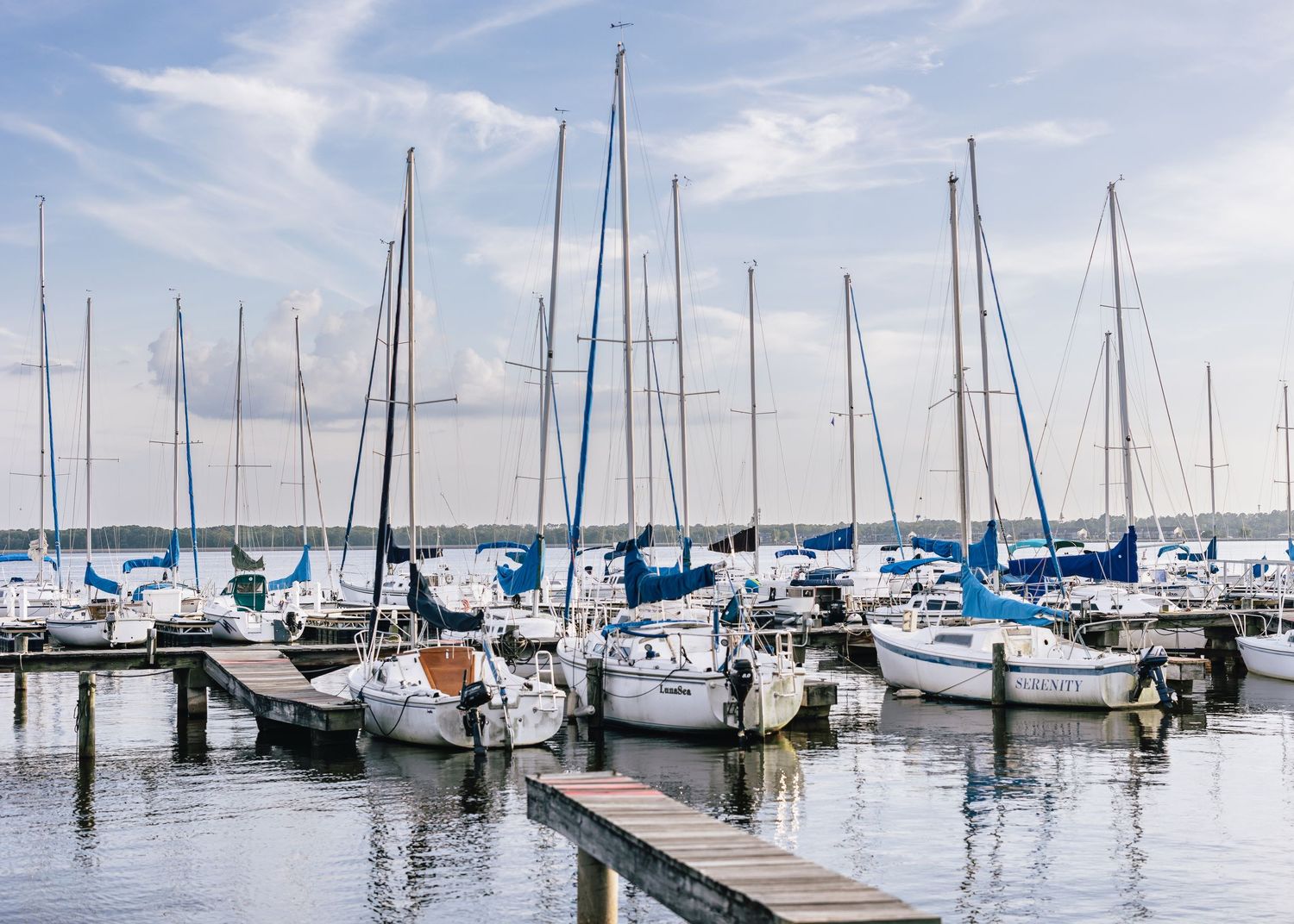 Marina with rows of sailboats docked at peaceful harbor under blue sky.