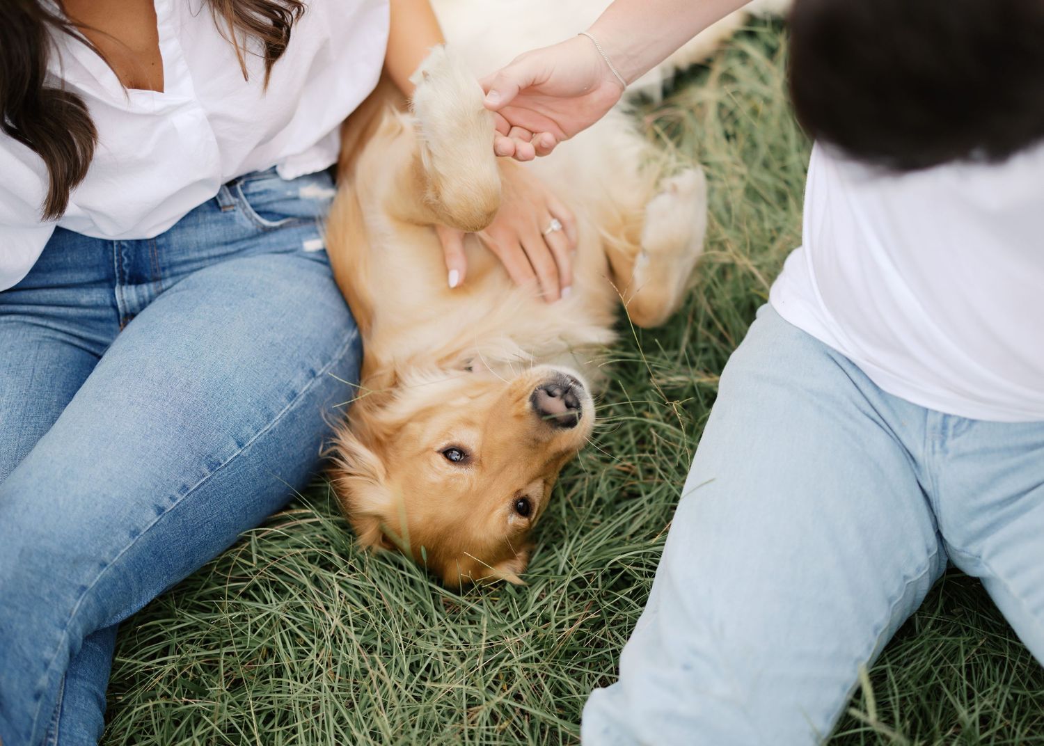 A happy golden retriever lying on grass between two people in casual wear.