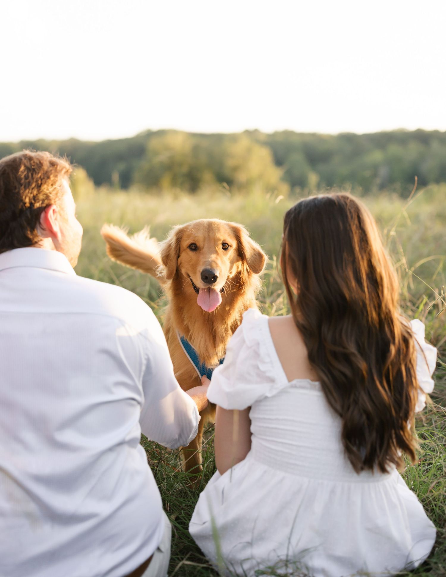 A couple in white clothing sits in a grassy field with their golden retriever dog during a photoshoot.