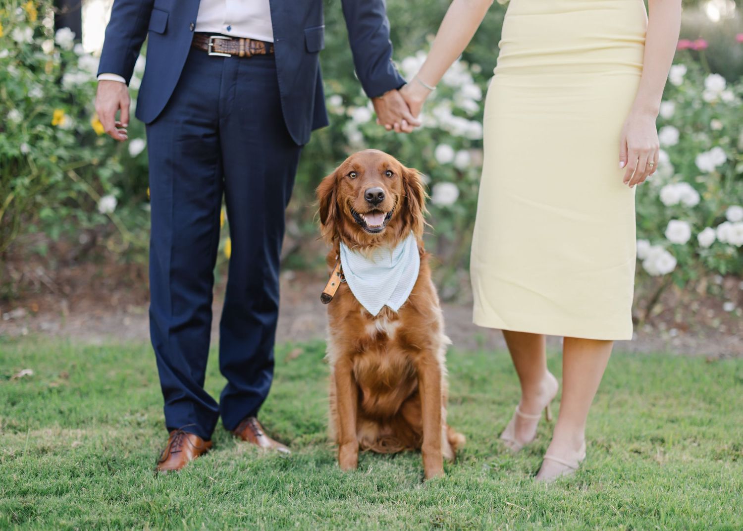 Engagement photo featuring brown dog with couple in navy and cream outfits.