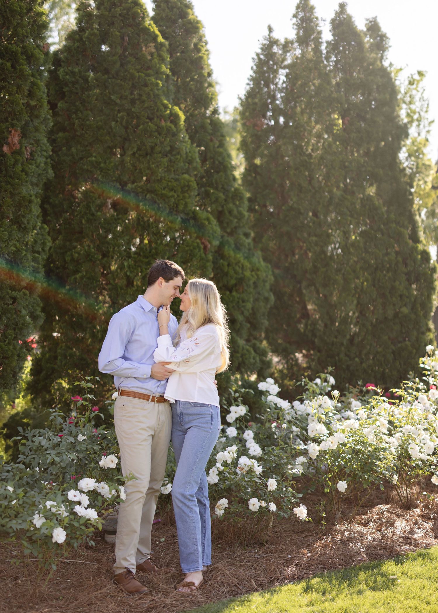 A couple shares a romantic moment in a garden with blooming white roses and evergreen trees at sunset.