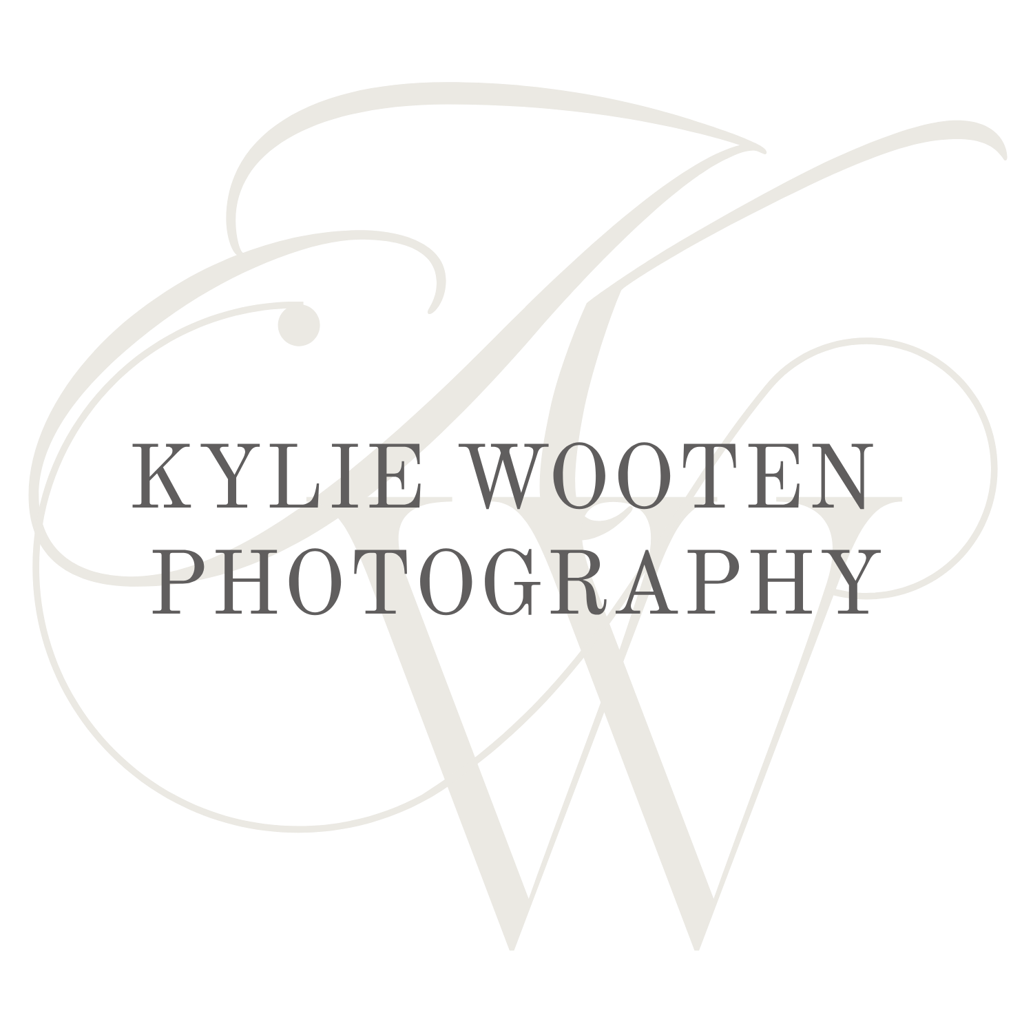 Elegant photography business logo in gray with cursive monogram letter W and classic typography.