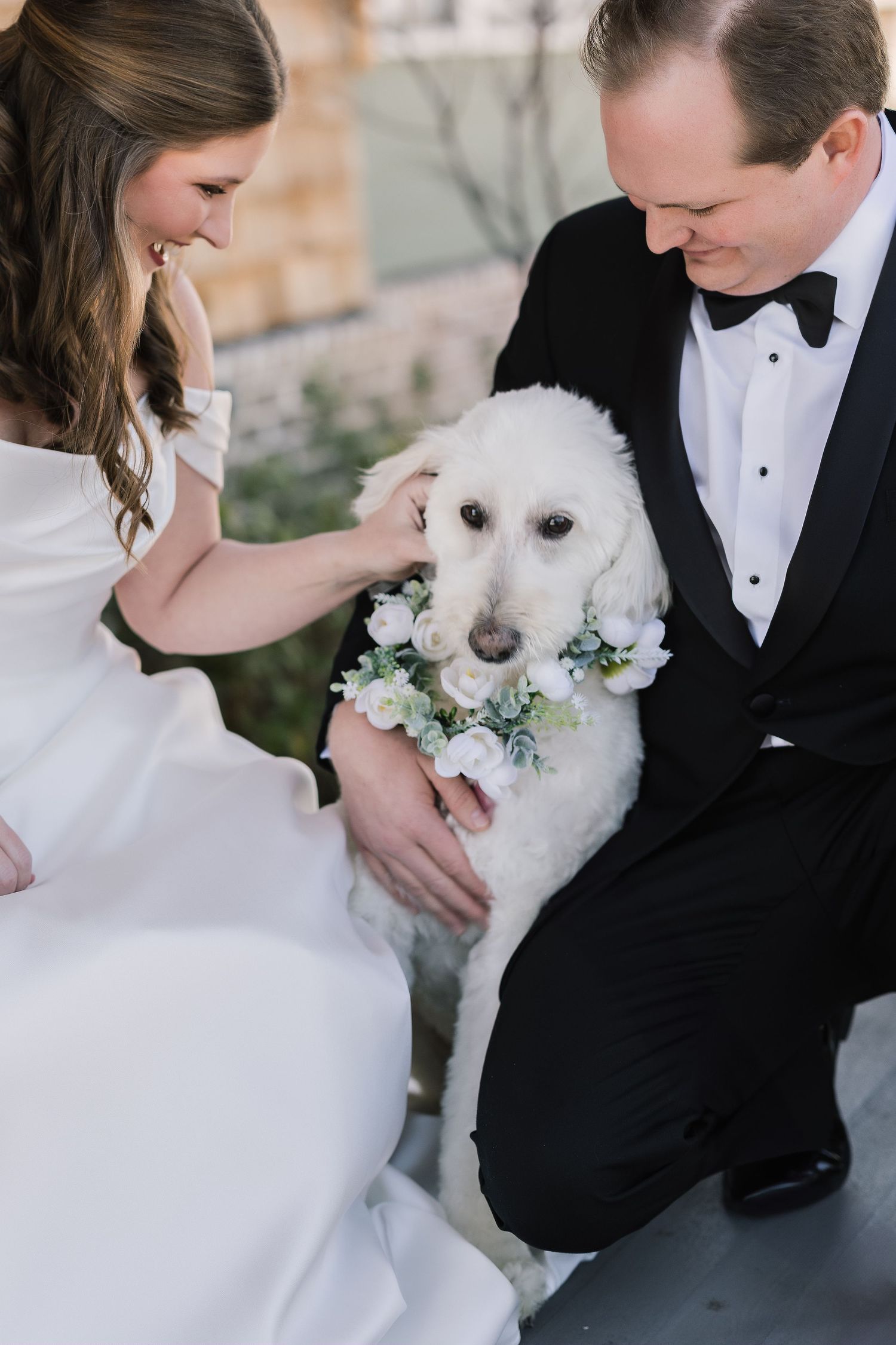 Wedding portraits featuring a fluffy white dog joining the formal couple.