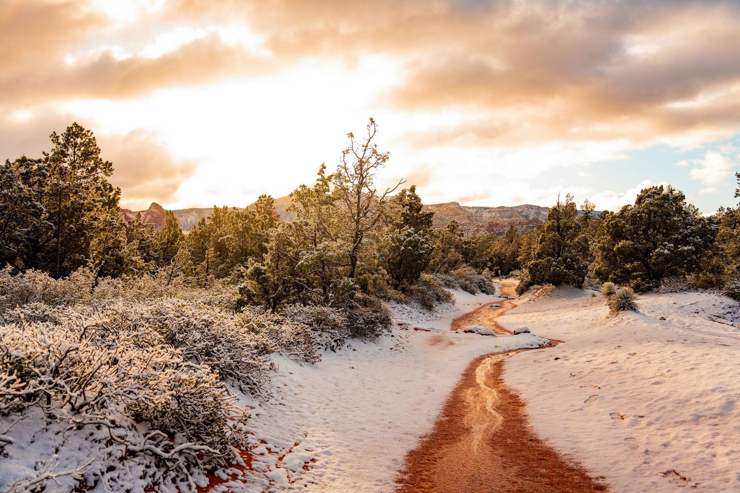 Snow-dusted red dirt trail winds through frost-covered desert shrubs at golden sunset in American Southwest.