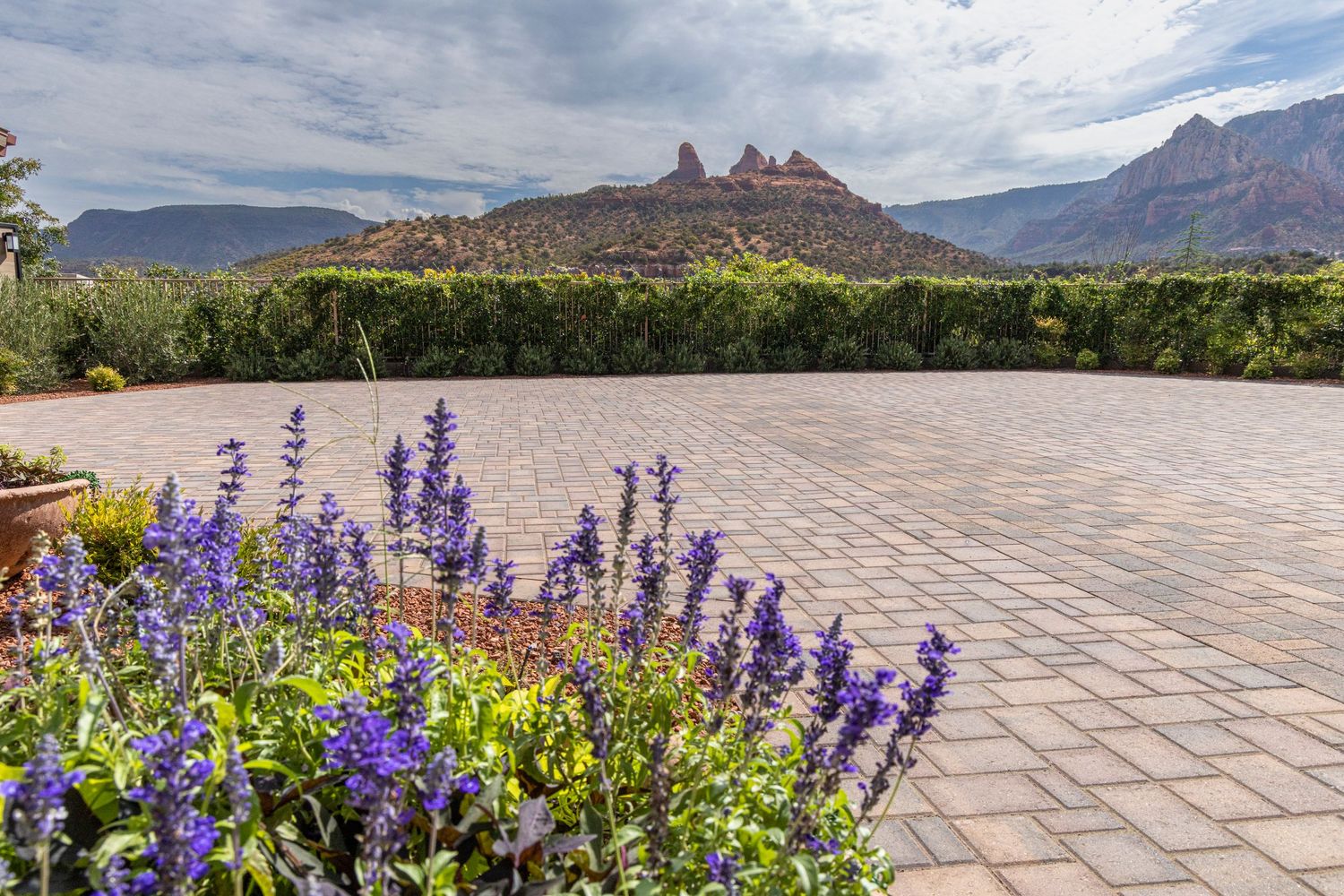 Purple wildflowers bloom along a paved path with red rock formations and desert mountains in the distance.