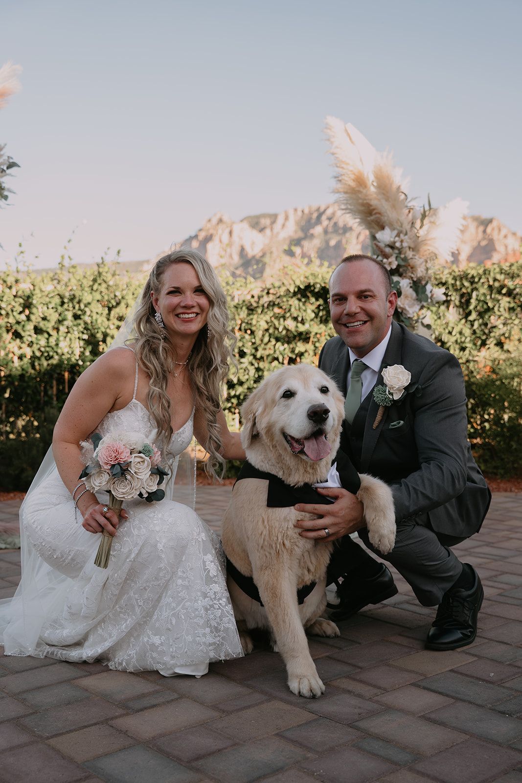 Bride and groom pose with their golden retriever dog in a tuxedo at an outdoor vineyard wedding ceremony.
