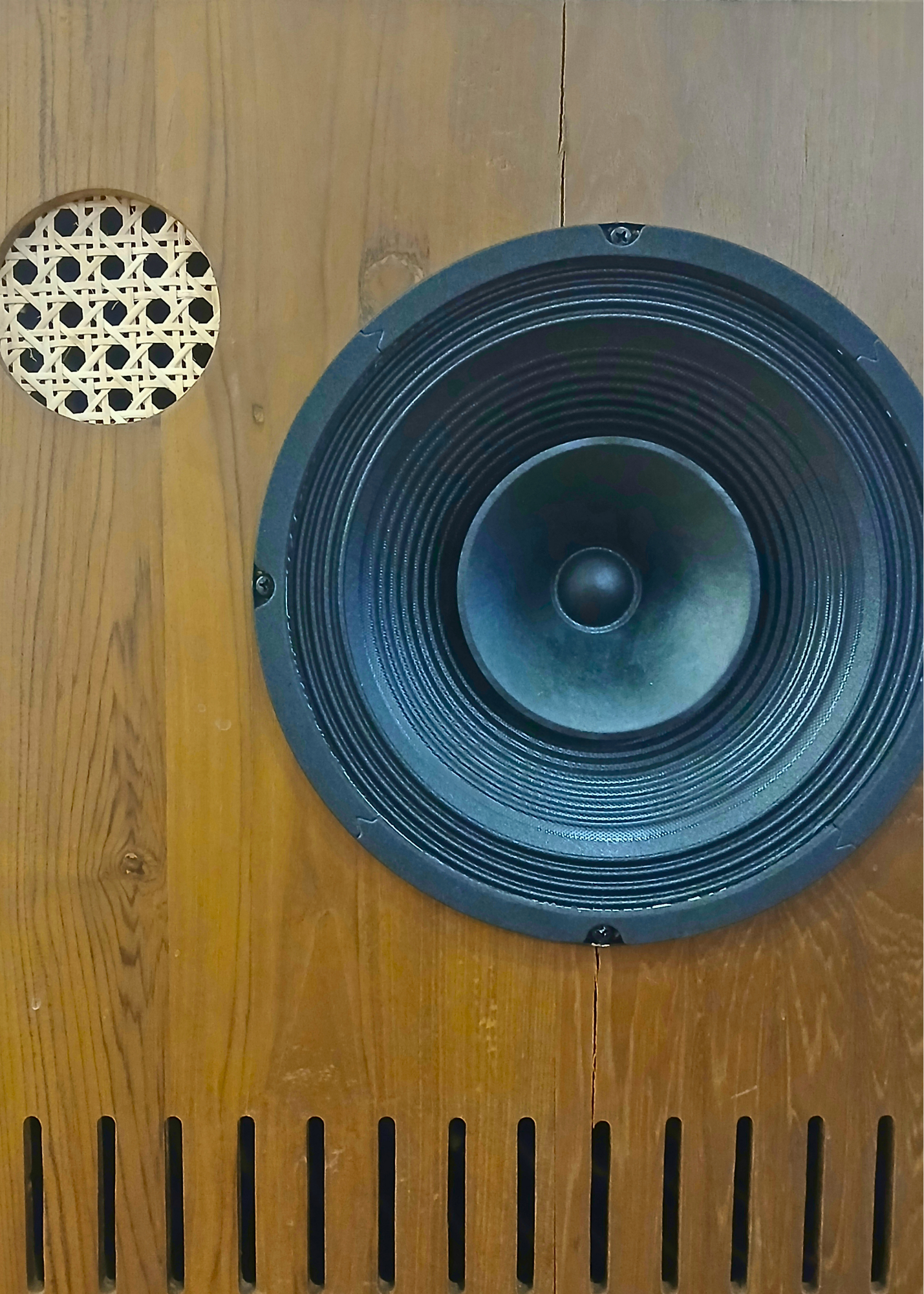 Wooden speaker cabinet with large woofer driver and circular cane grille panel, featuring decorative vertical slot ports at bottom.