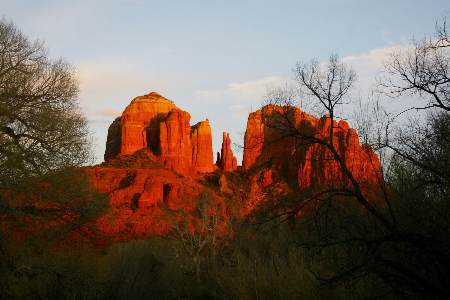 Red rock formations of Sedona, Arizona glowing at sunset with bare trees silhouetted in the foreground.
