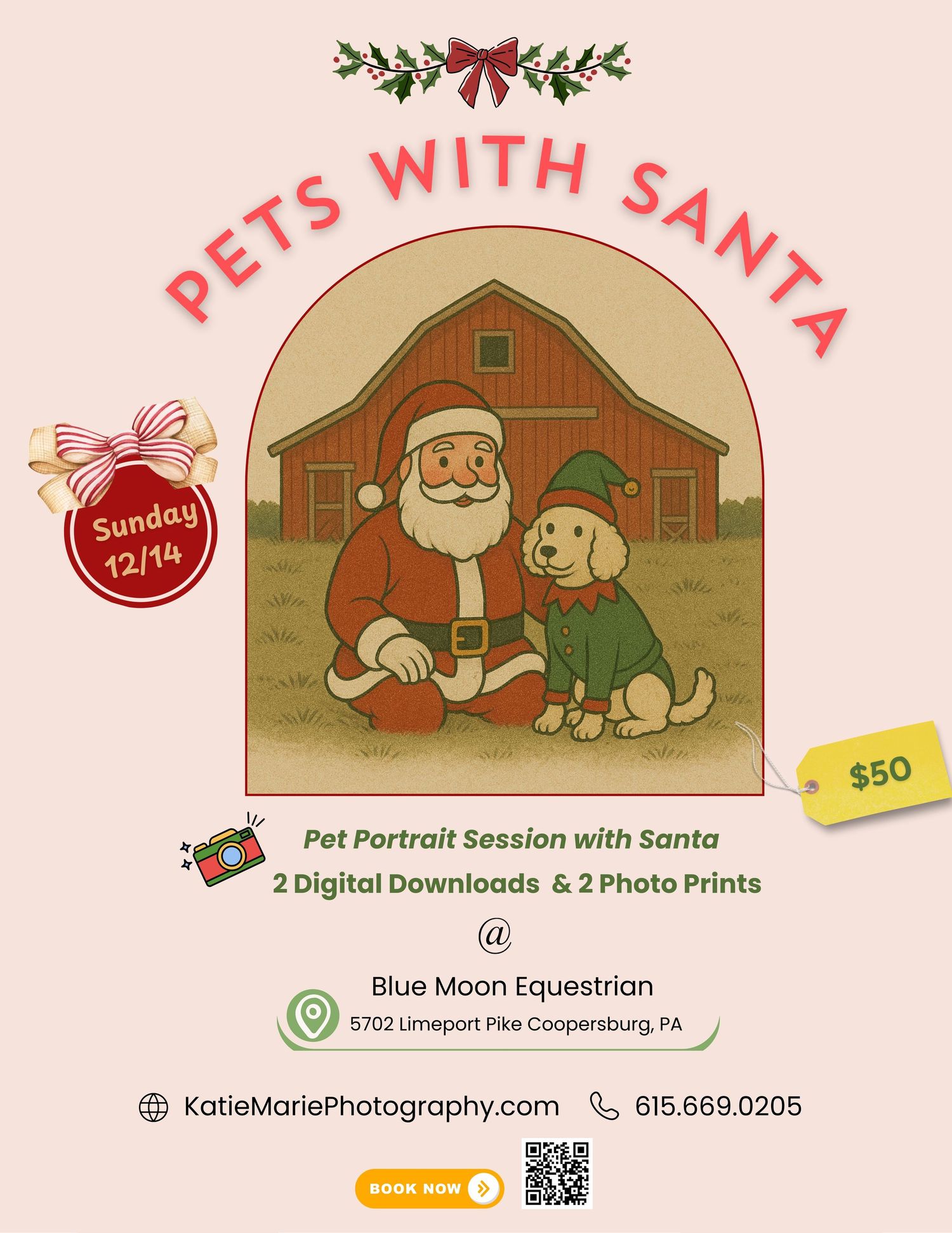 Pets with Santa Portrait Session in Pennsylvania