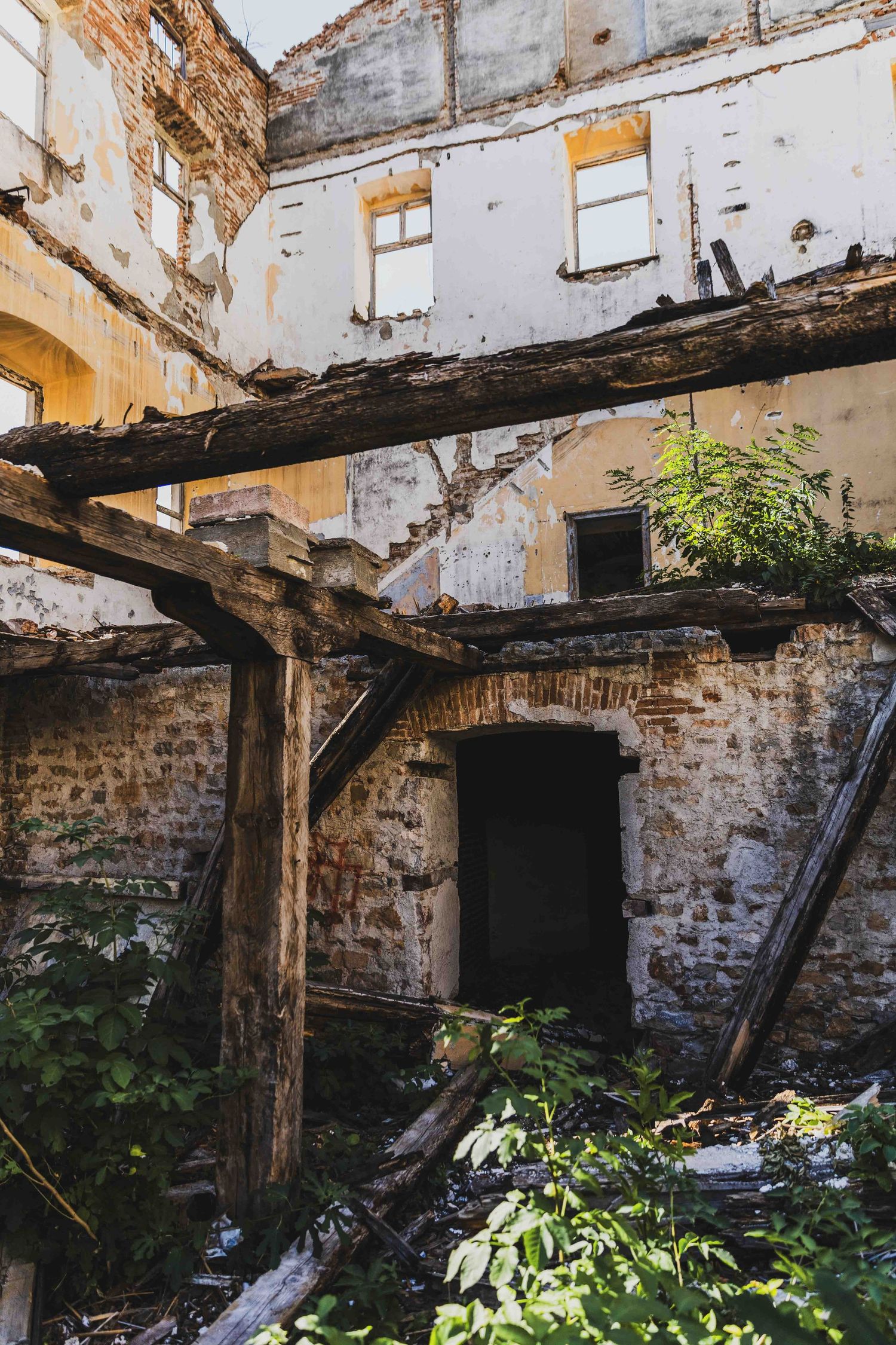 Decaying interior of abandoned building with exposed wooden beams and crumbling brick walls amidst growing vegetation.