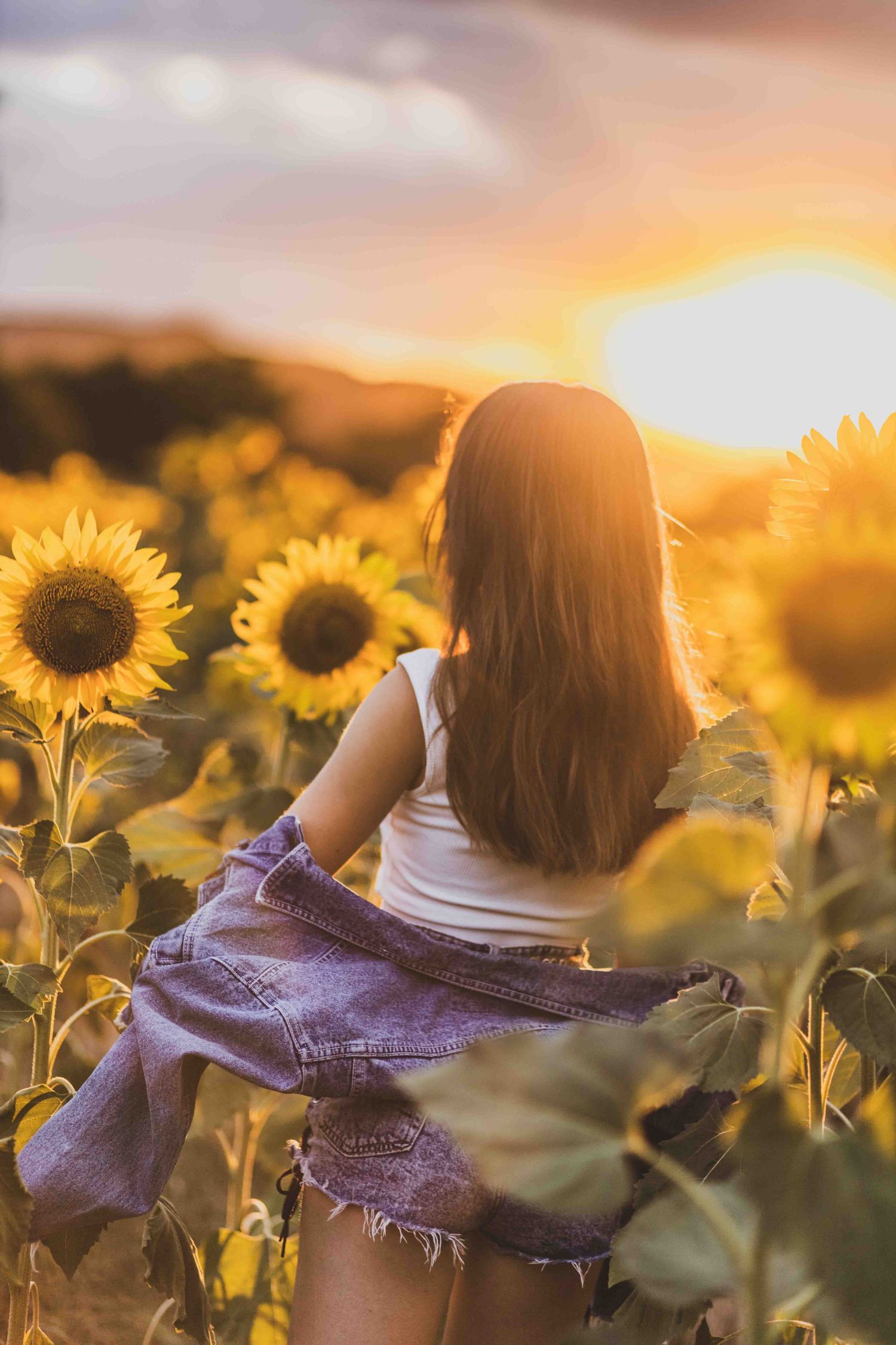 A person stands among bright yellow sunflowers at golden sunset, wearing a denim jacket in a dreamy summer field.