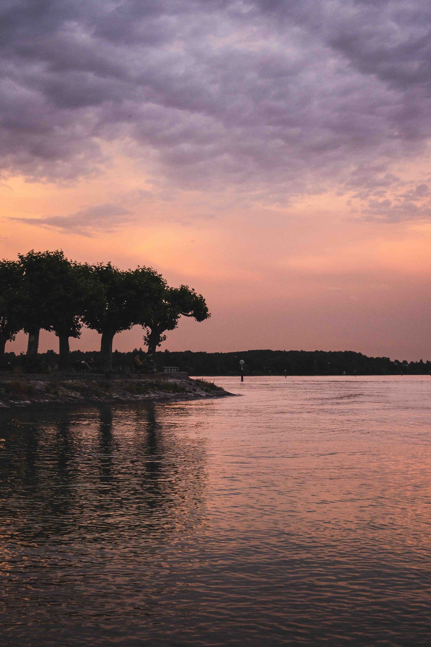 Silhouetted trees line a tranquil lake shore at sunset with dramatic purple and orange clouds reflecting on calm waters.