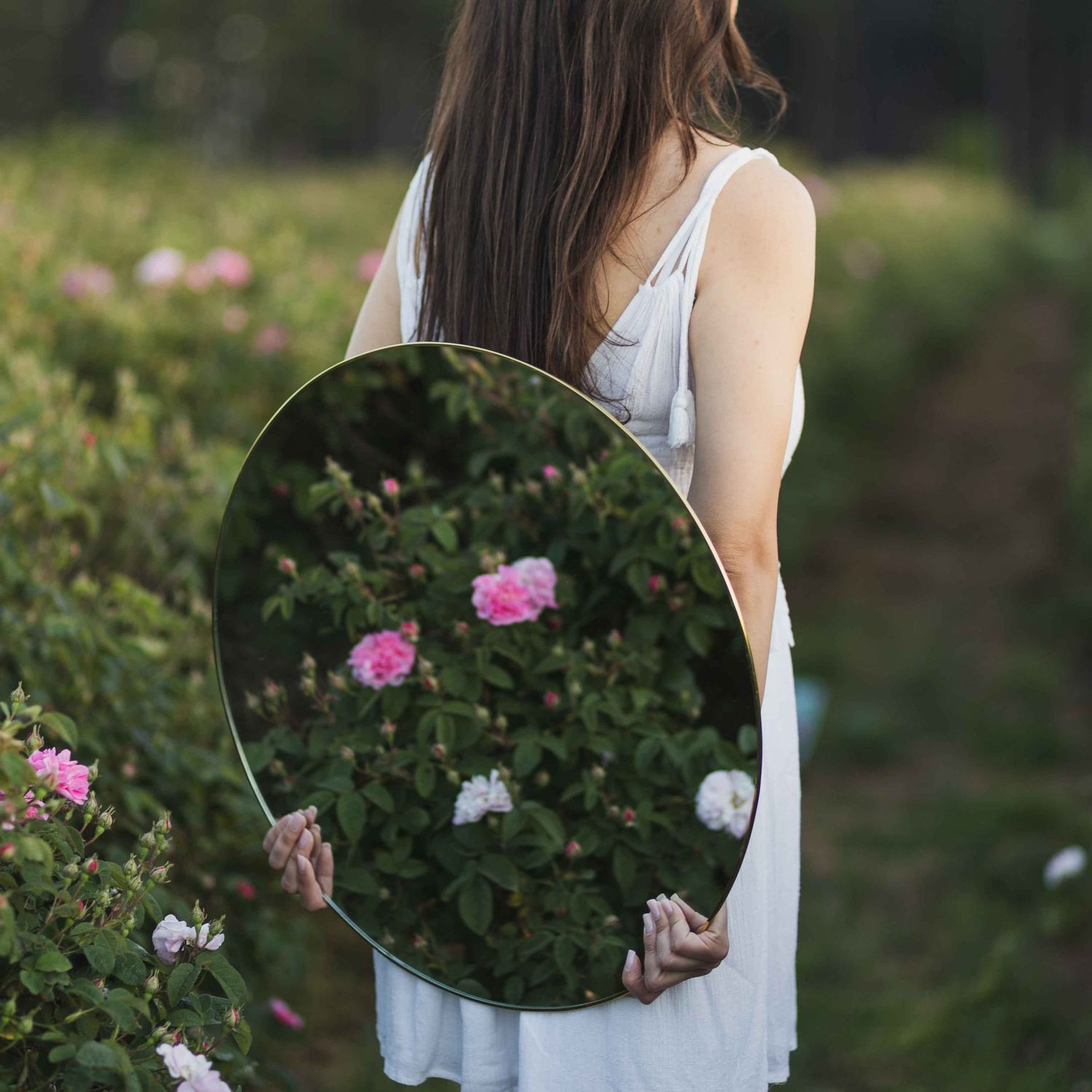 Someone in a white dress holds a round mirror reflecting pink roses and garden foliage on a sunny afternoon.