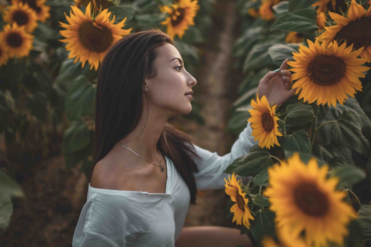A serene photographic series featuring sunflowers in a garden while a figure poses amongst the bright yellow blooms.
